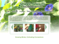 schoolsprouts.com