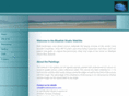bluefishstudionz.com