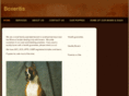 boxeritis.com