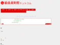 kaiga-museum.com