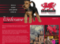redragonwelsh.com