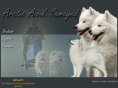 samoyed.ch