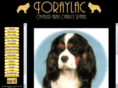 toraylac.com