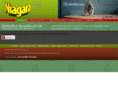 niagaratr.com