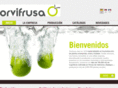 orvifrusa.com