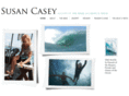 susancasey.com