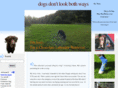 dogsdontlookbothways.com