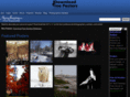 downloadfreeposters.com