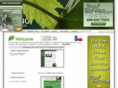 irvingtreeservices.com