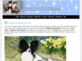 maggnolia.com