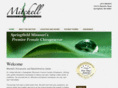 mitchellchiropracticandrehab.com
