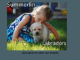 summerlinlabradors.com