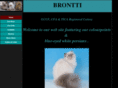 bronttipersians.com