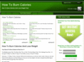 howtoburncalories.net