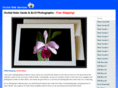 orchidwebservices.com