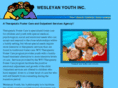 wesleyanyouth.org