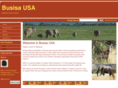 busisausa.com