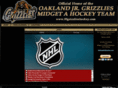 95grizzlieshockey.com