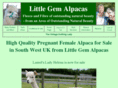 alpacaangels.co.uk