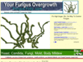 fungusfolly.com