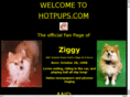 hotpuppies.com