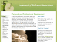 lowcountrywellnessassociates.com