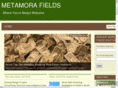 movetometamora.com
