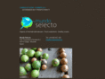 mundo-selecto.es