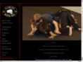 alamedamartialarts.com