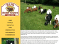 bijoboergoats.com