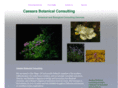 caesara.com