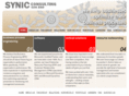 synic.asia