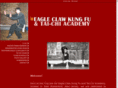 eagleclawkungfuacademy.com