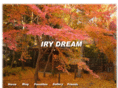 iry-dream.com