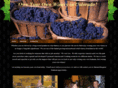 ownyourownwinery.com