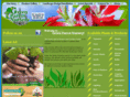 greenparrotnursery.com