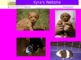 kyraknape.com