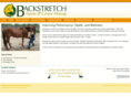 backstretchmassage.com