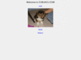 cubukcu.com