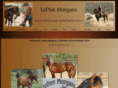 ledanmorgans.com
