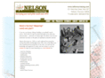 nelsonsurveying.com