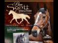 pamscottequestrian.com