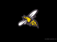 stingmedia.net