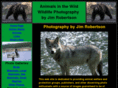 animalsinthewild.com