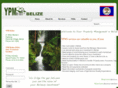 belizeconsult.com