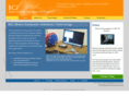 braincommunication.org
