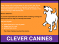 clevercanines.ie