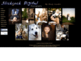 slickrockdigital.com
