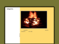 campingtriptips.com