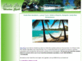 costaricavacationguide.com